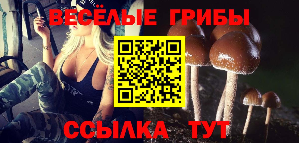 как найти наркотики  Псилоцибиновые грибы GOLDEN TEACHER  Галлюциногенные грибы прущие грибы  Вход с VPN  Энгельс 