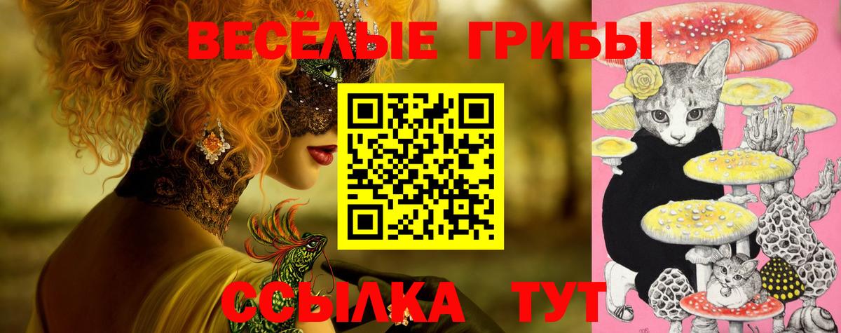 Галлюциногенные грибы прущие грибы Энгельс